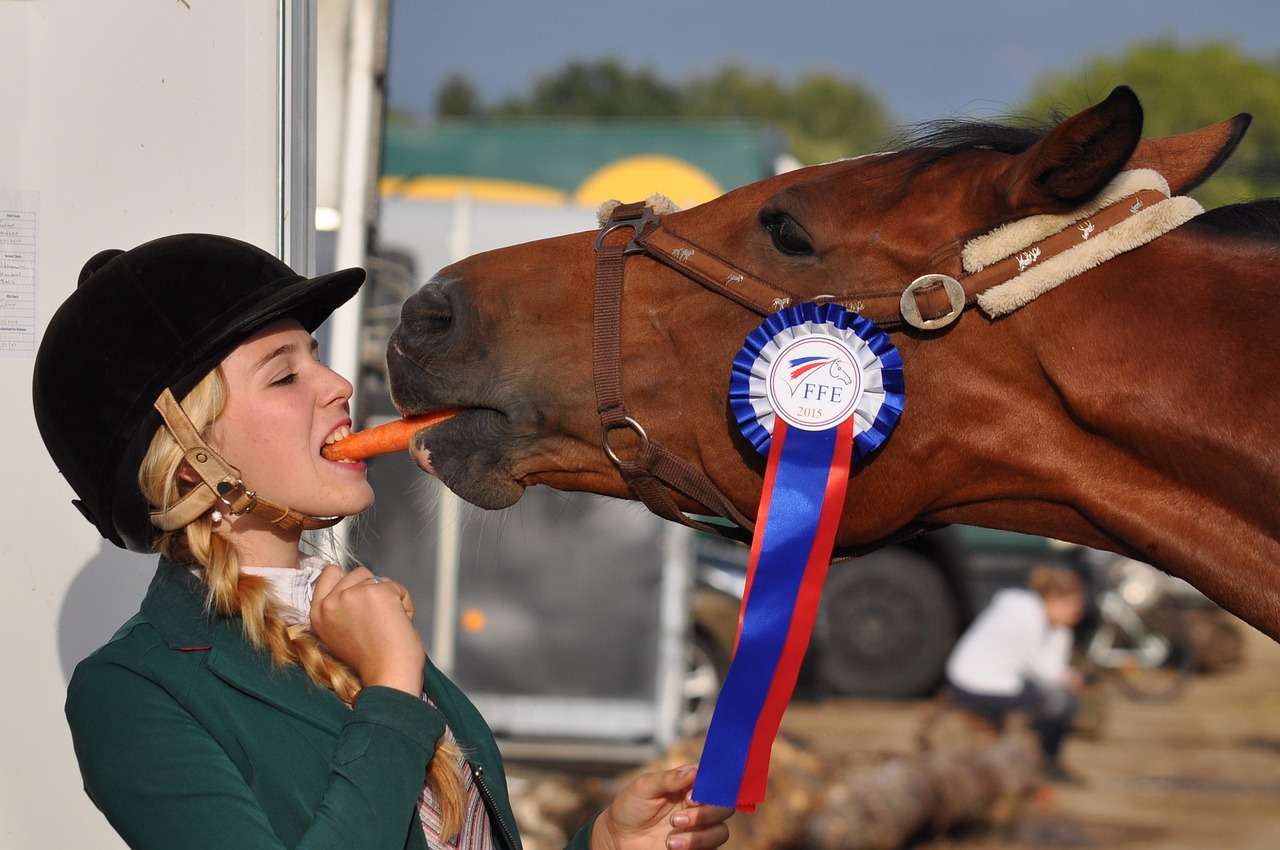 horse, girl, winner-934534.jpg