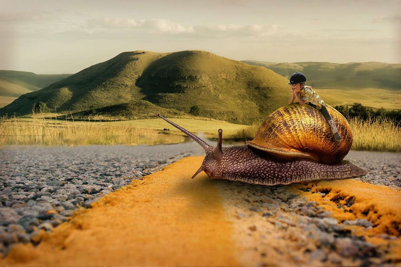 snail, girl, patience-3130177.jpg