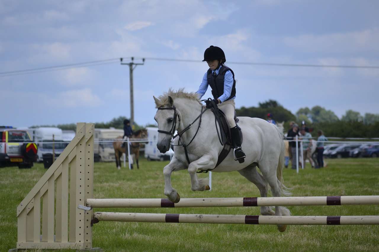 white horse, jumping, child-965618.jpg